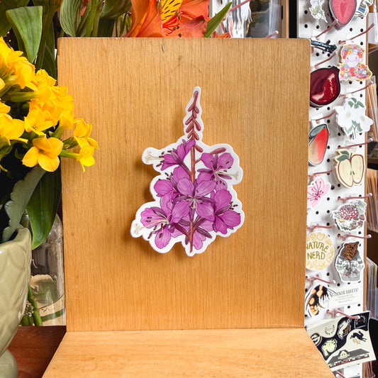 fireweed sticker