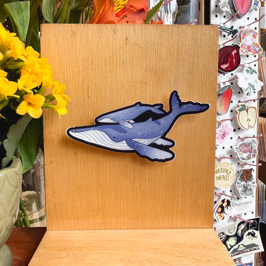 humpback whales sticker