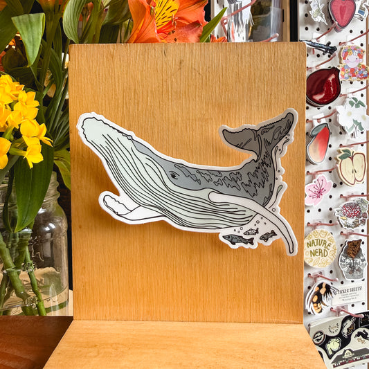 whale sticker