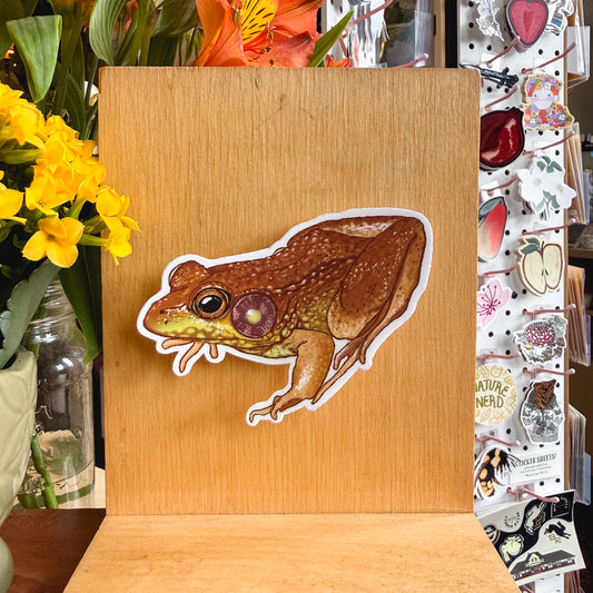 frog sticker
