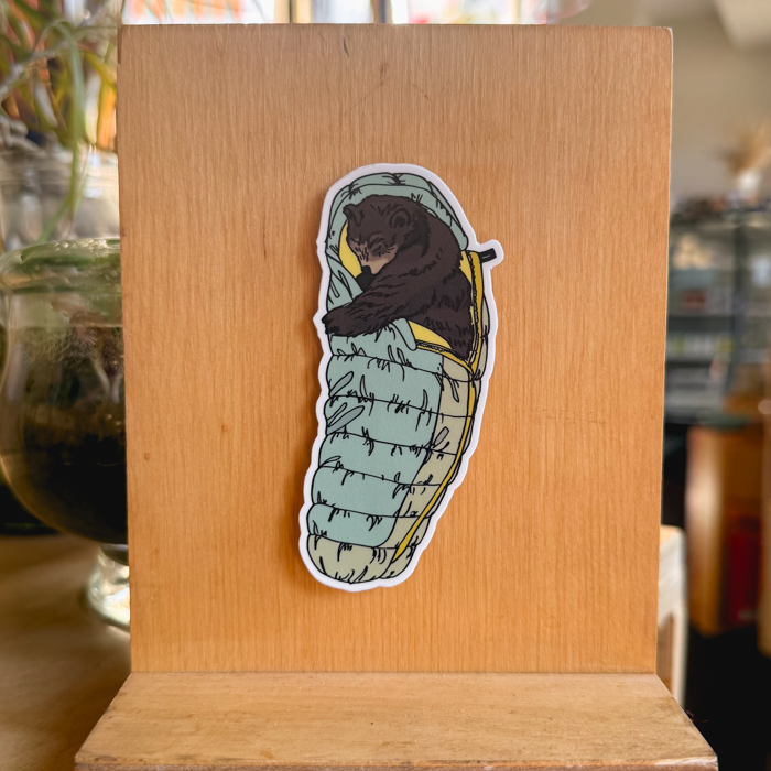 green sleeping bag bear sticker