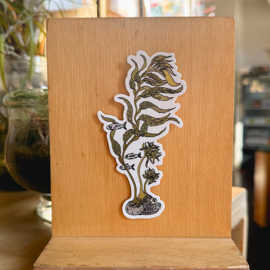 kelp sticker